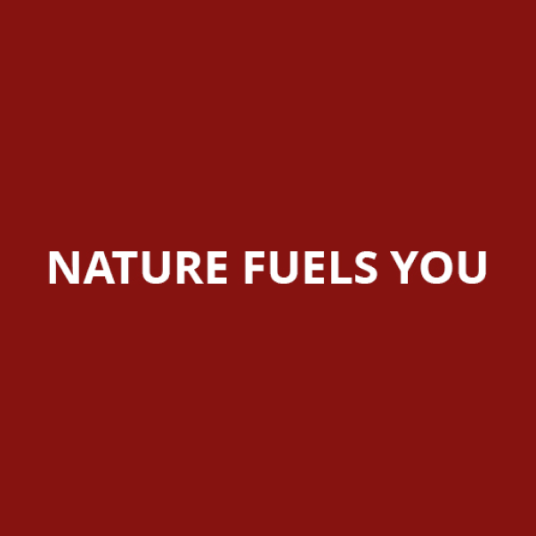 Save 10% on all products with Rush Nutrition Product Image